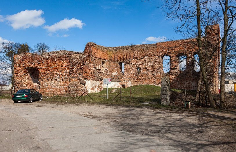 Zamek Radzikowskich w Radzikach Dużych, Poland